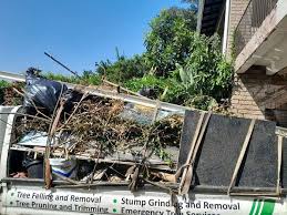 Best Furniture Removal  in Lipscom, AL